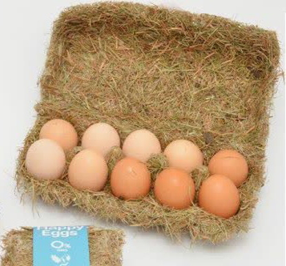 تصویر از تخم مرغ محلی